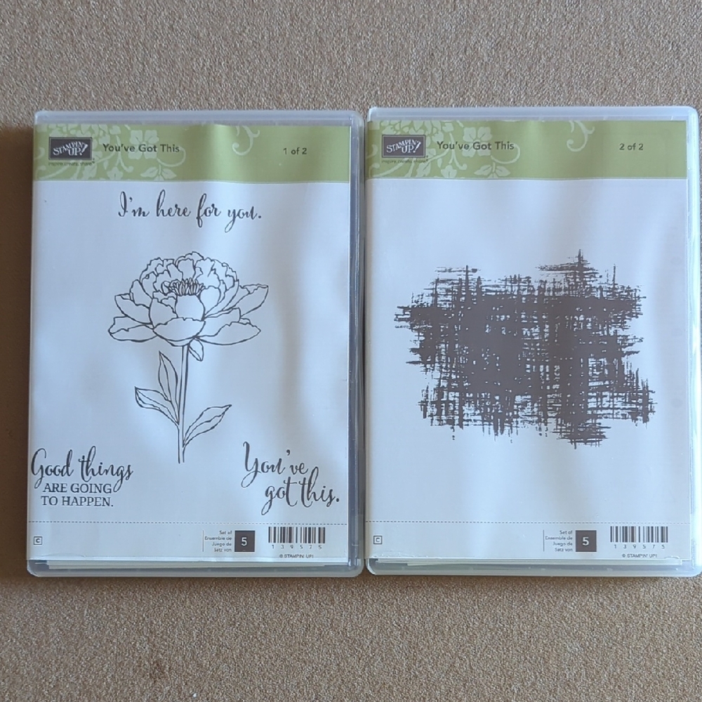 You've Got This Set Of 2 Stampin Up Sets
